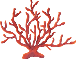 Corail