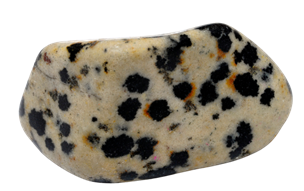 Jaspe dalmatien